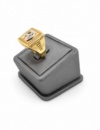 10K Yellow Gold Men’s Italian Fancy Horse & Horseshoe Cubic Zirconia Ring